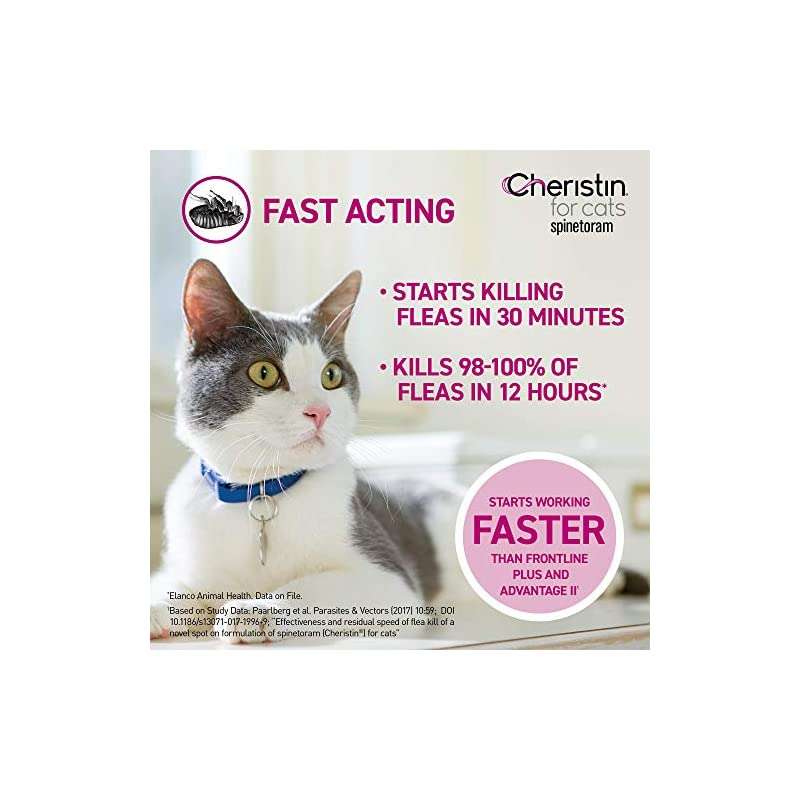 Cheristin for Cats Topical Flea Treatment  Effective ...