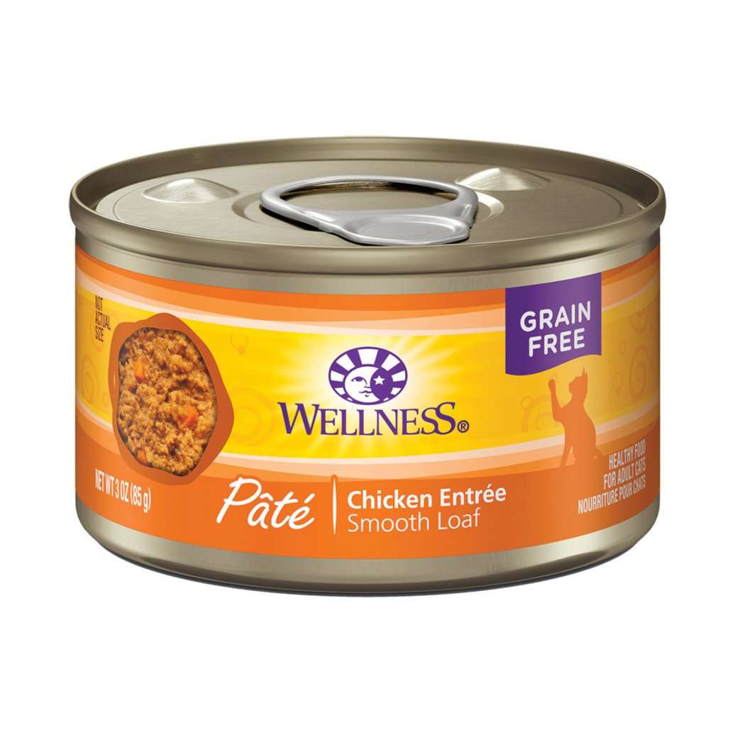 what-is-the-healthiest-wet-cat-food-brand-catsworldclub