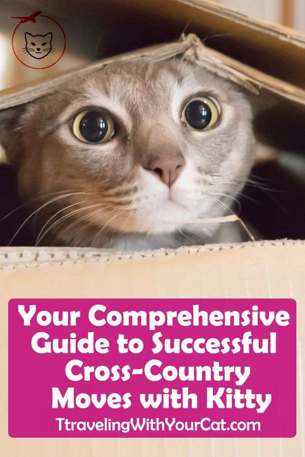 Your Comprehensive Guide to Successful Cross
