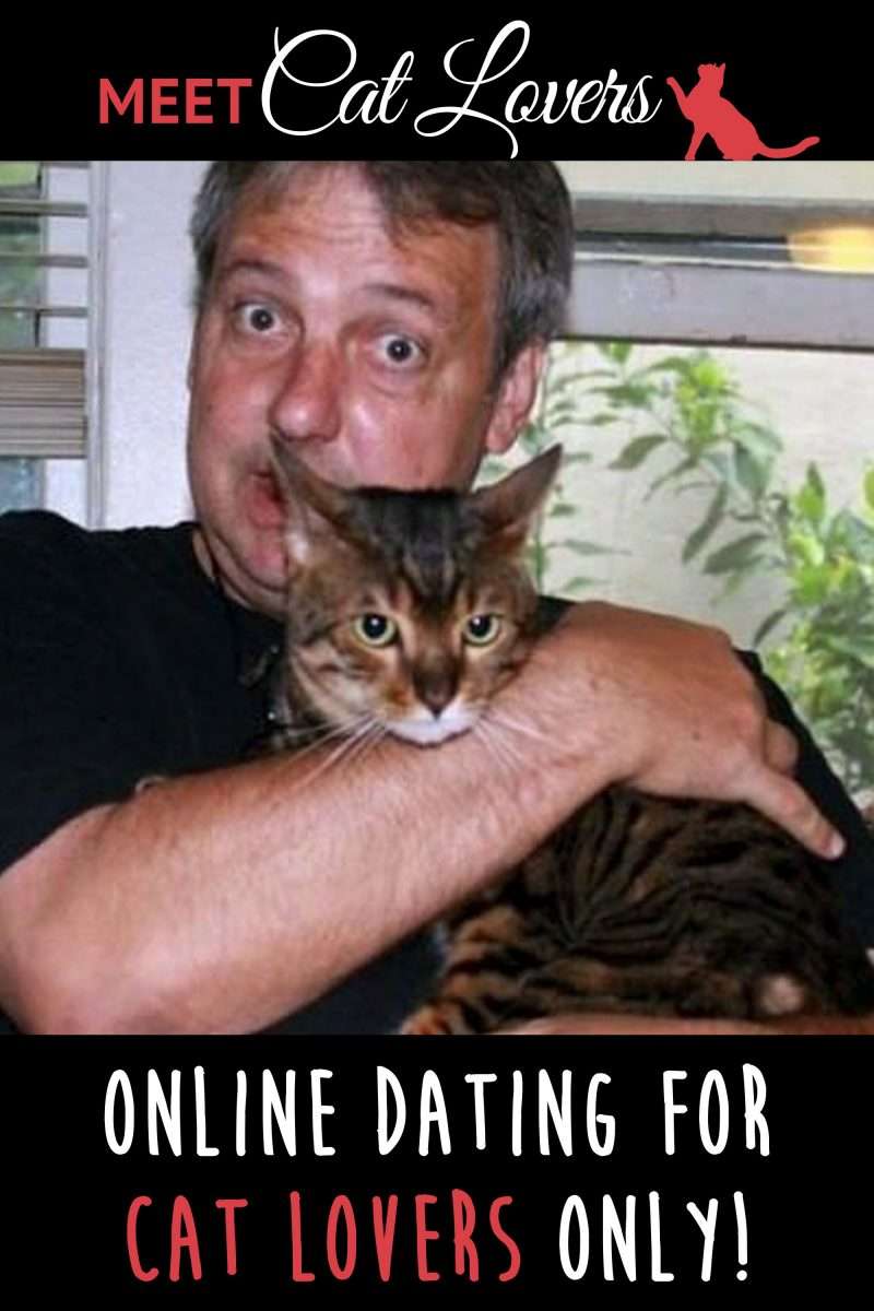 #1 Dating Site For Cat Owners