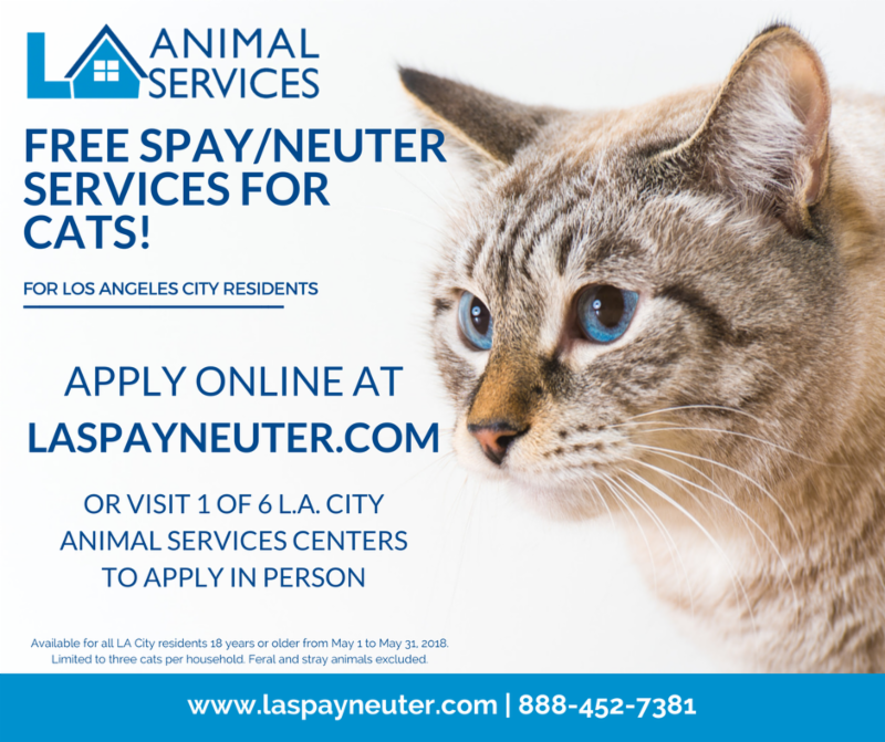 get-cat-neutered-for-free-catsworldclub