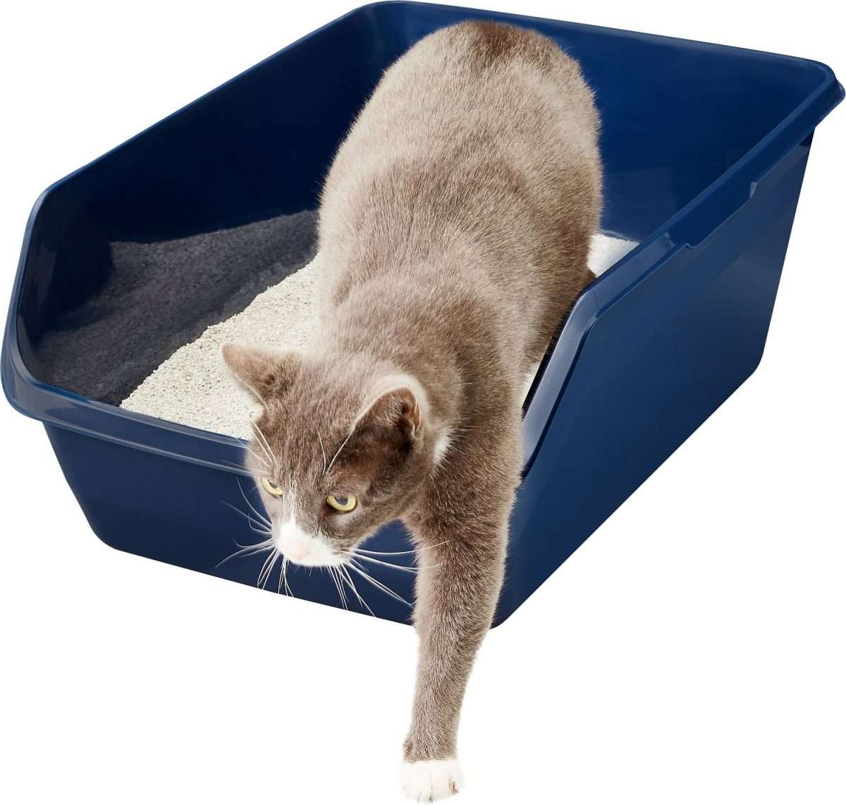 Frisco High Sided Cat Litter Box, Navy, Extra Large 24