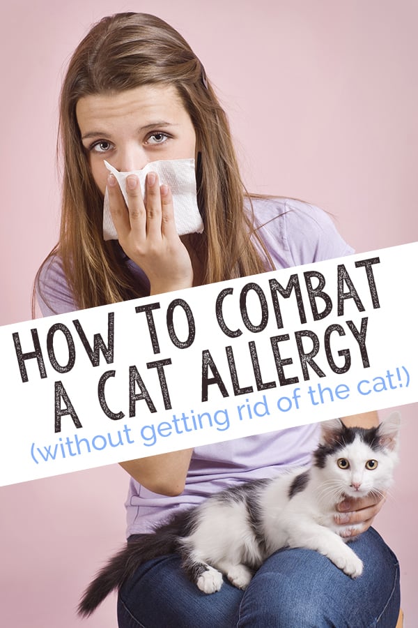 How To Combat a Cat Allergy (Without Getting Rid of Your Cat!)