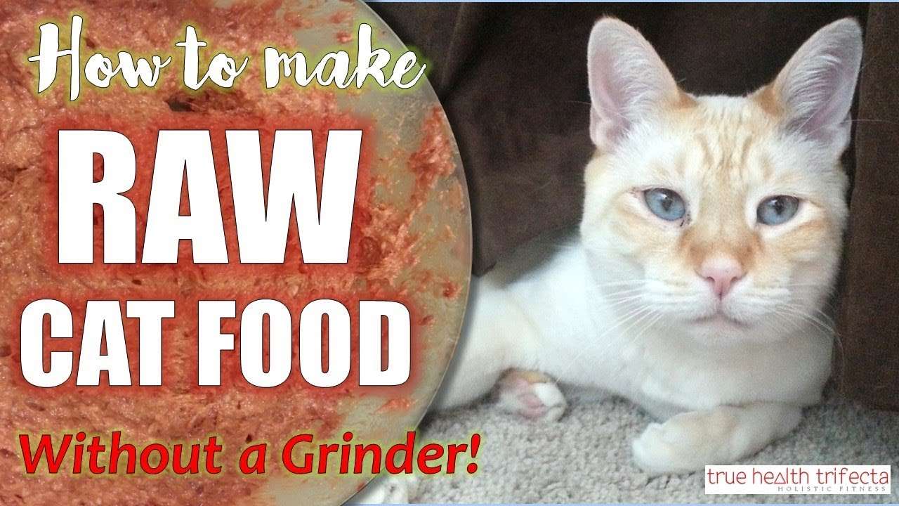 How to make Raw Cat Food WITHOUT a Grinder! (RECIPE)