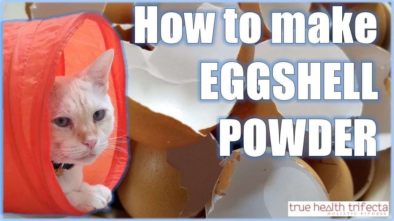 How to make Raw Cat Food WITHOUT Chicken Bone!