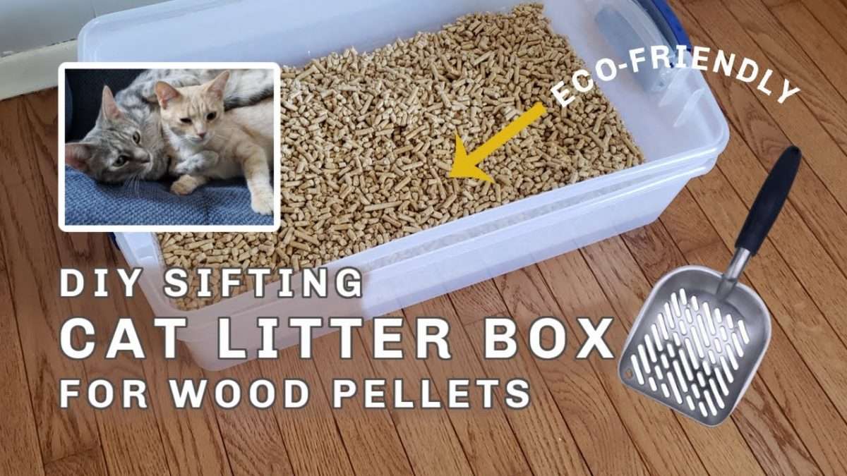 DIY Sifting Cat Litter Box for Wood Pellets