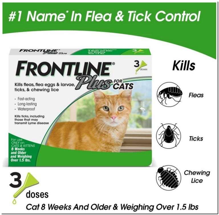 Flea Medicine For 4 Week Old Kittens