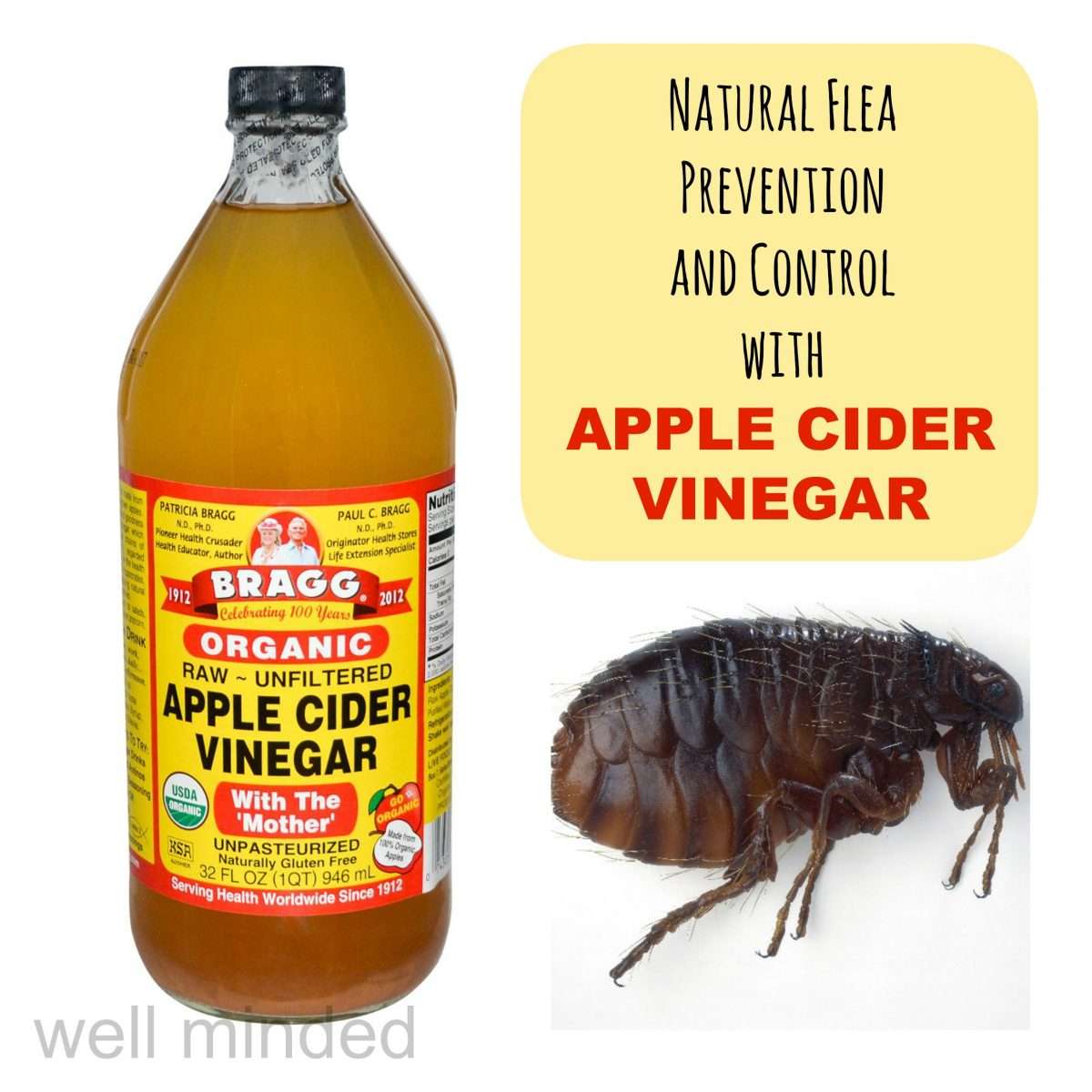 Home Remedies For Fleas On Cats Apple Cider Vinegar