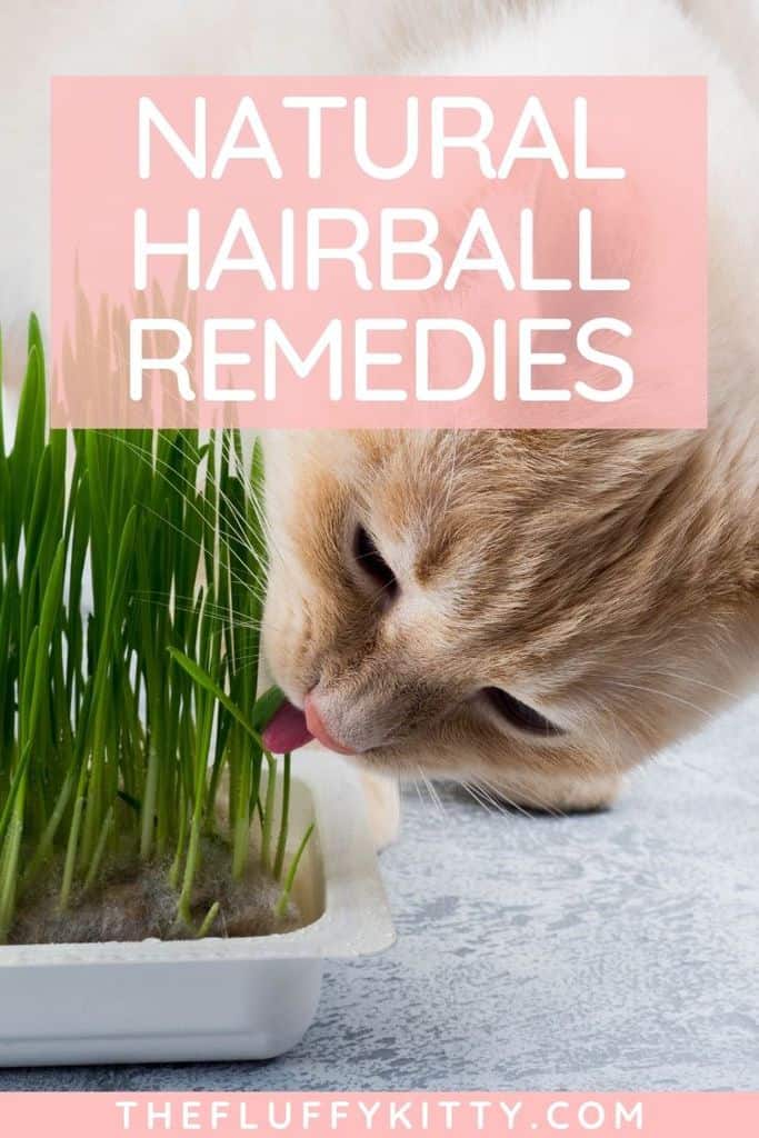 Is There A Natural Hairball Remedy for Cats?