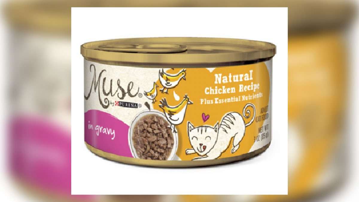 Purina recalls Muse wet cat food due to rubber pieces â WPXI