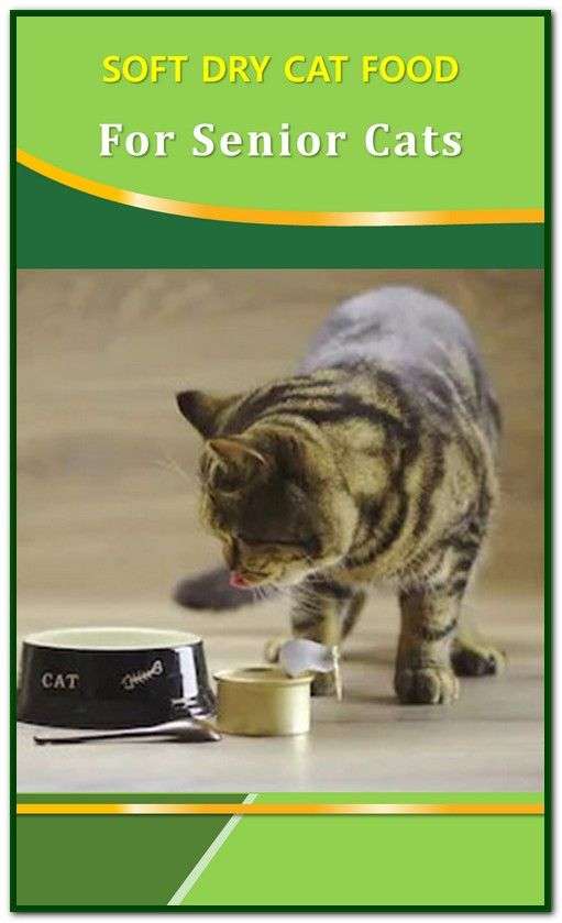 Soft Dry Cat Food For Senior Cats