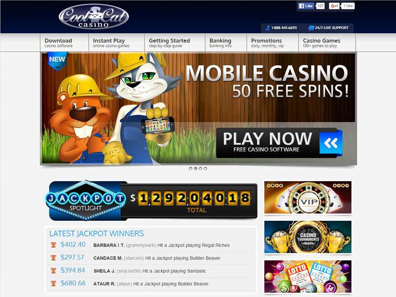 The Outstanding Gambling Features of Cool Cat Casino