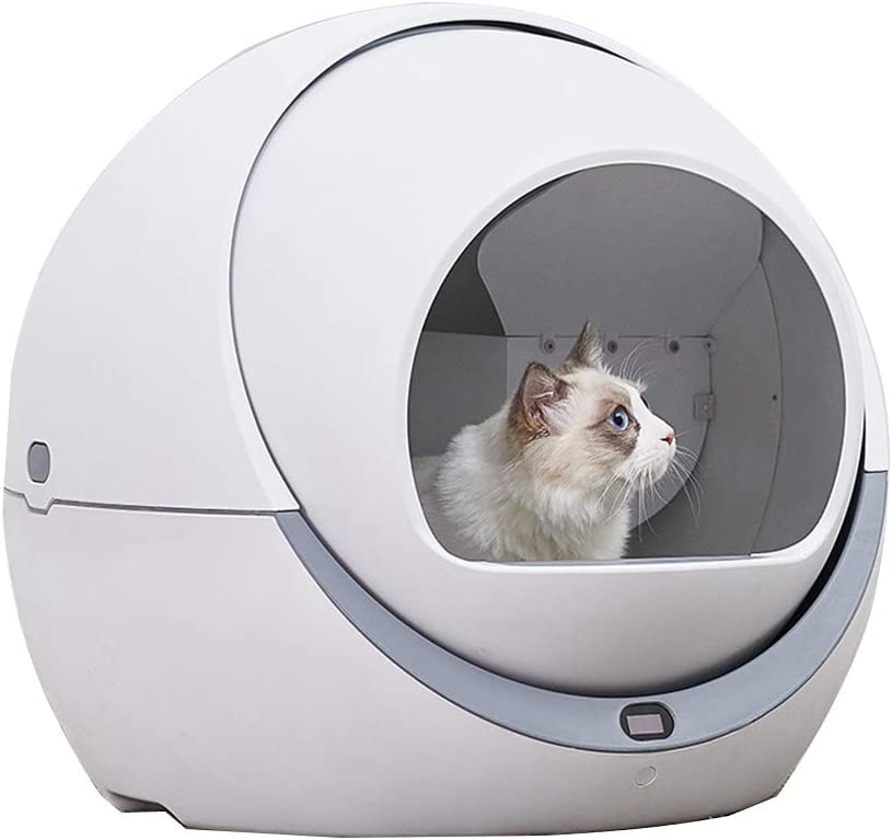 Amazon.com: WYJW Automatic Cat Litter Box,Automatic Cleaning Easy to ...