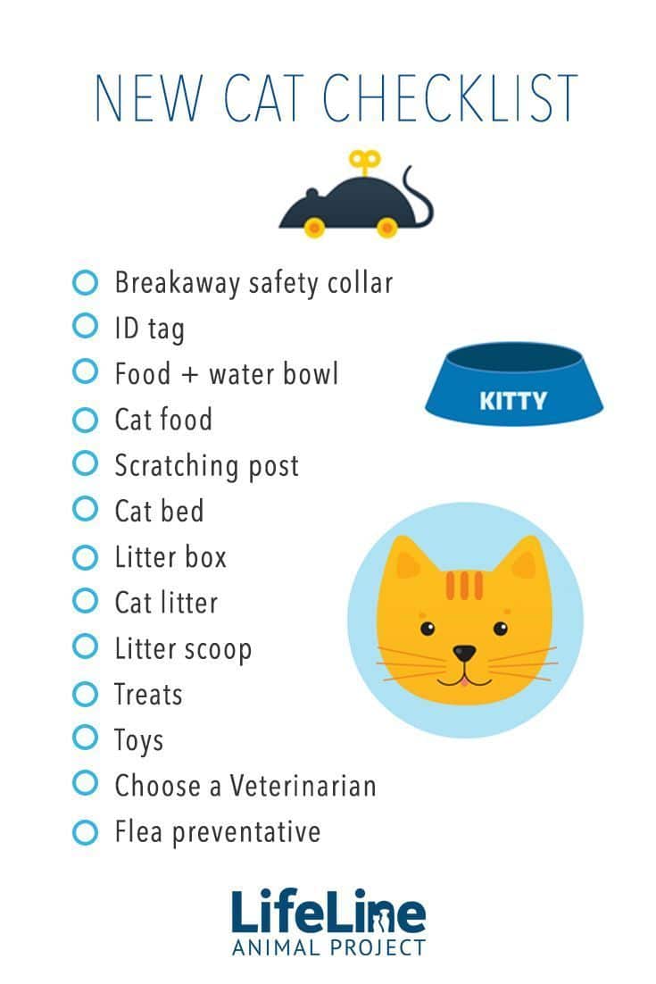 Be prepared when you bring home your new adopted cat with this handy ...