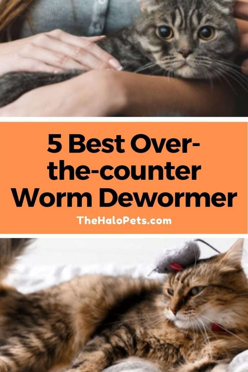 Best over the counter cat dewormer