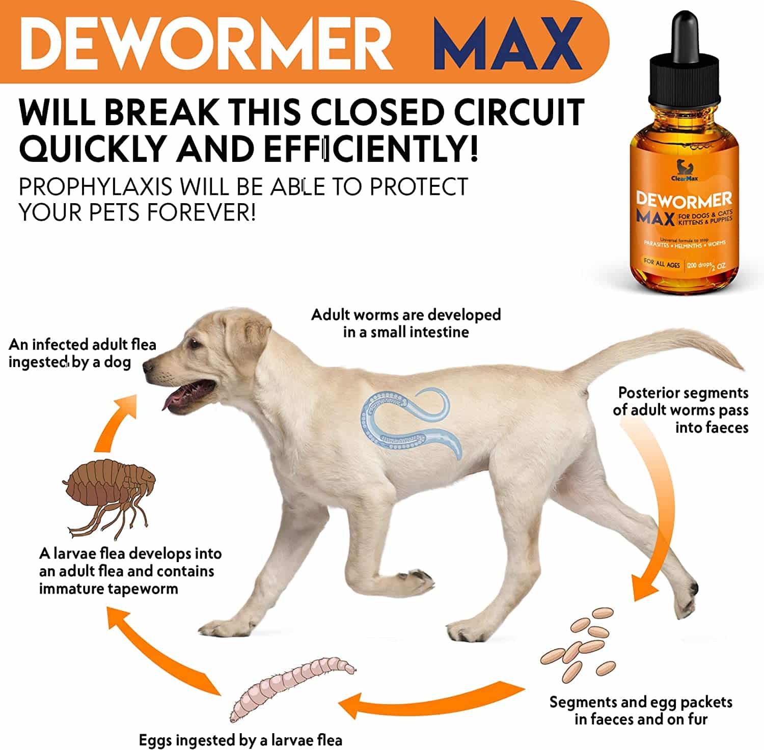 Dewormer + for Dogs and Cats