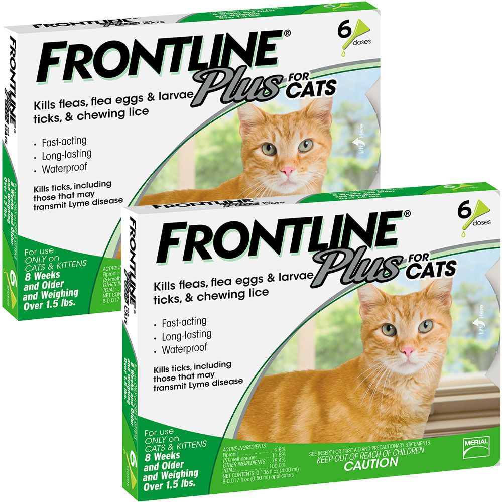 Frontline Plus for Cats, 12 Month