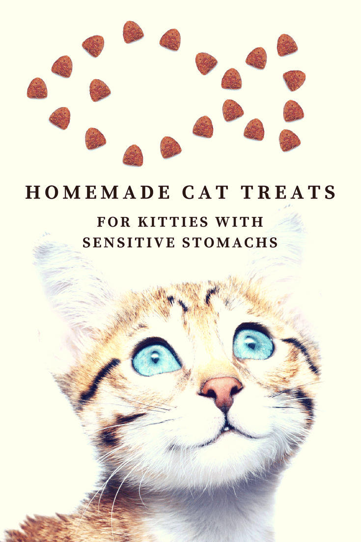 Homemade Cat Treats for Kitties With Sensitive Stomachs