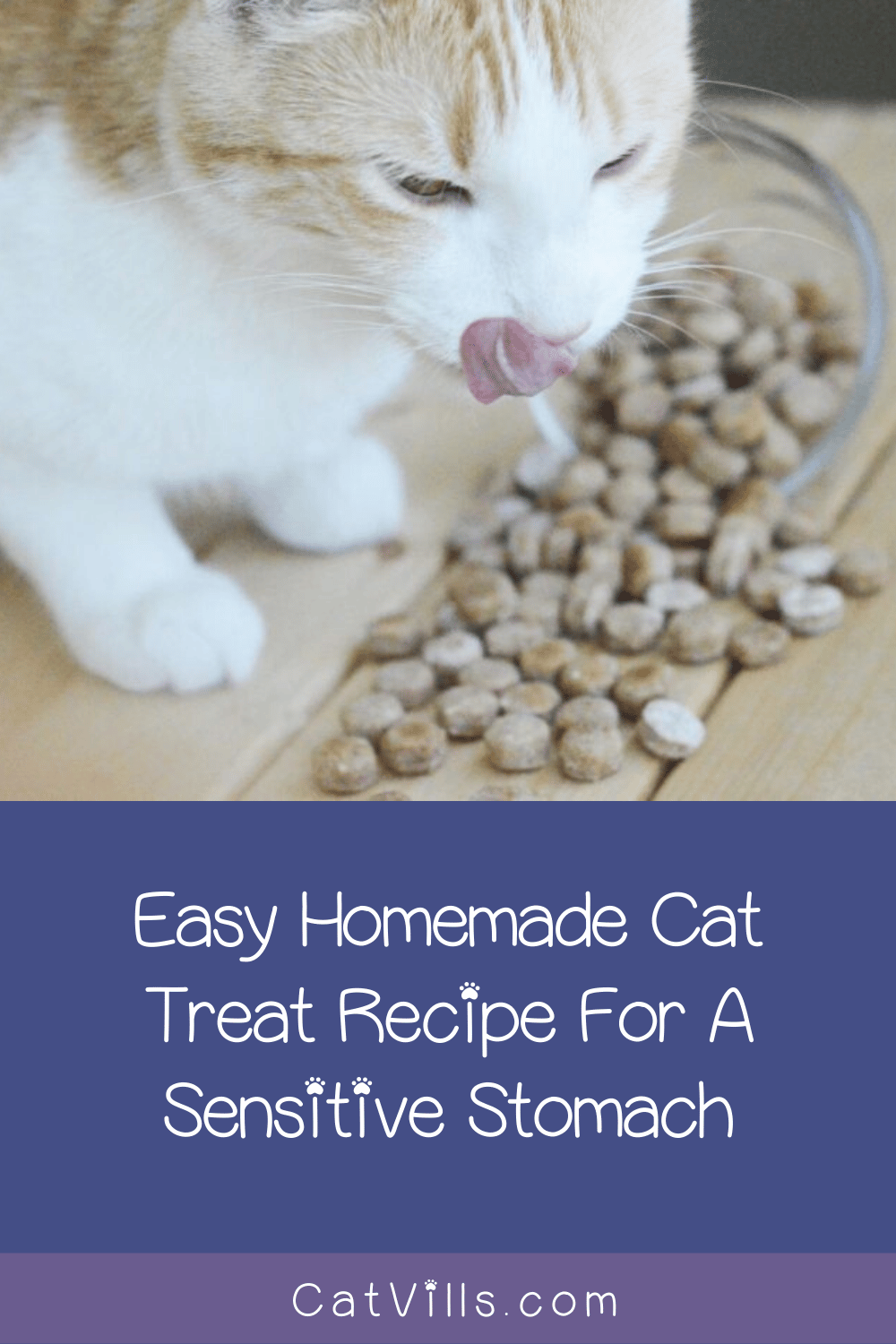 Homemade Cat Treats For Sensitive Stomachs