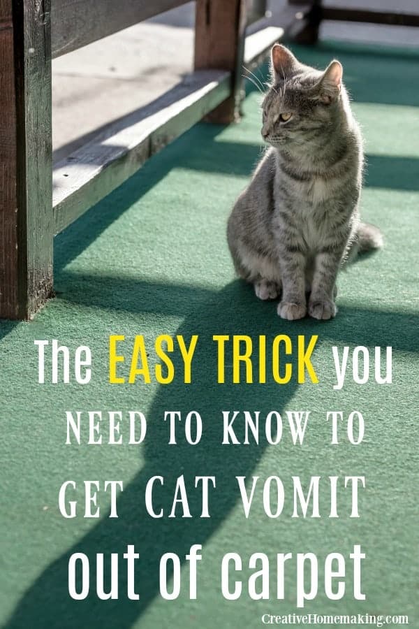 How to Clean Cat Vomit from Carpet