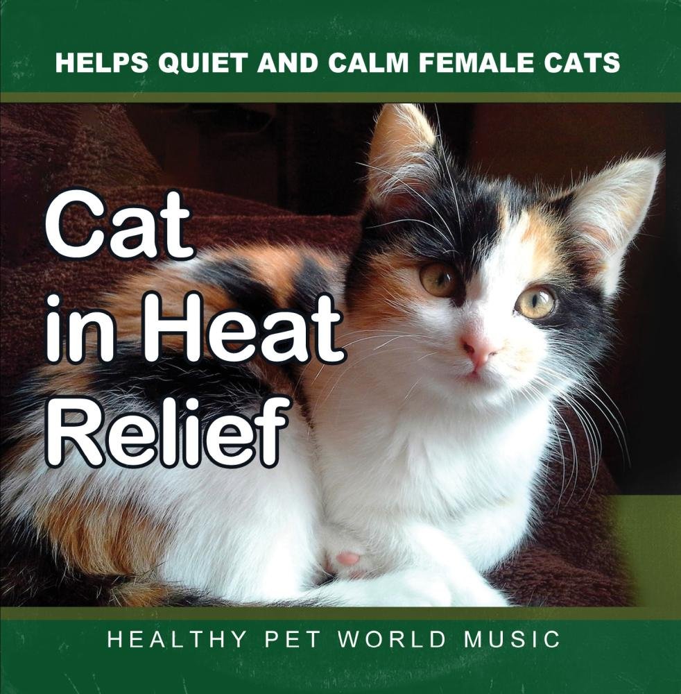 How To Help Soothe A Cat In Heat