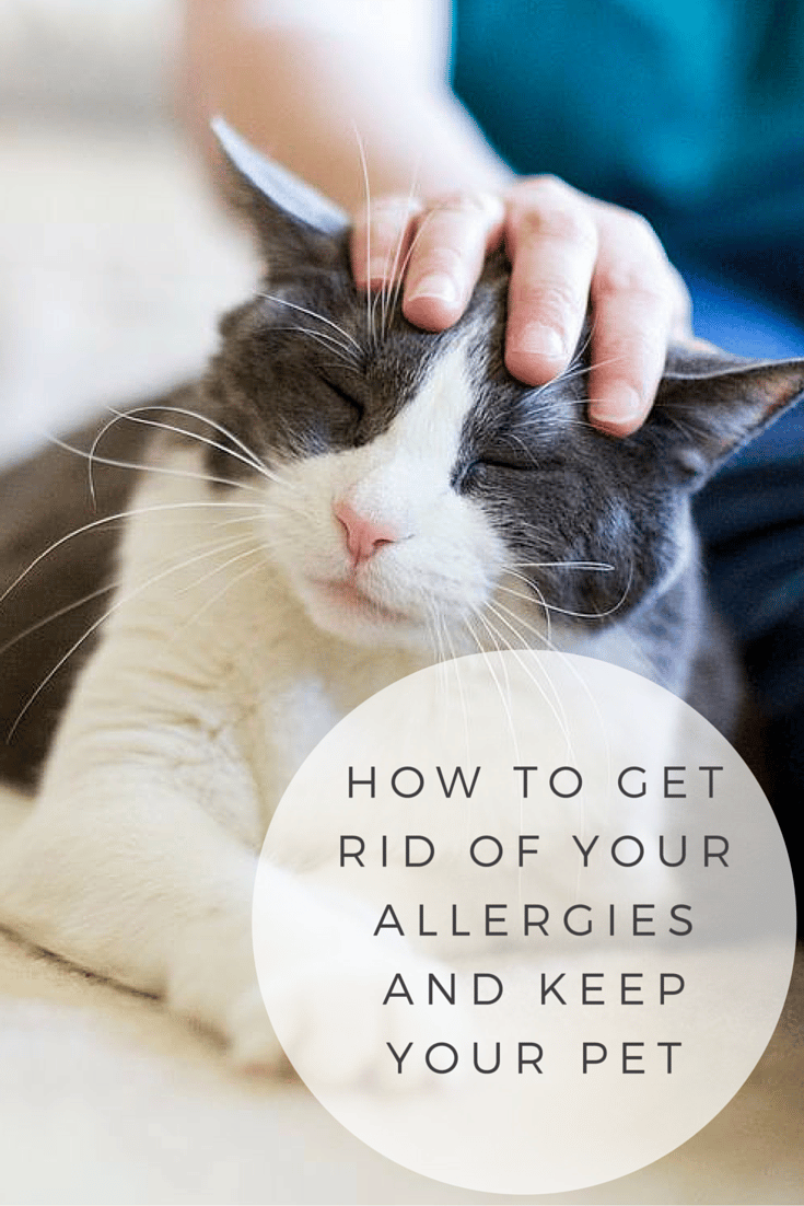 If you suffer from pet allergies but wouldn