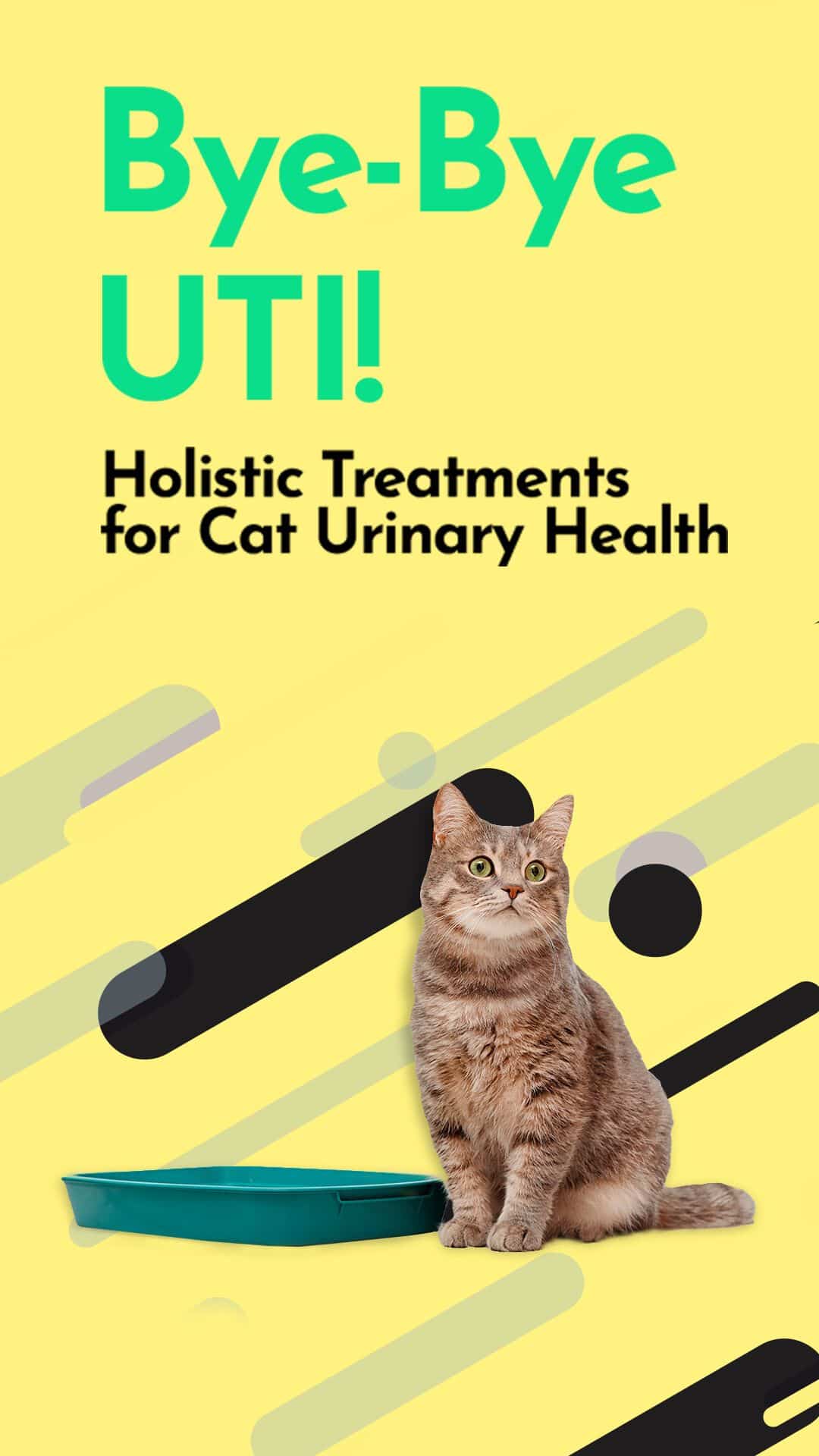 If youâre worried about your catâs urinary health, youâre not alone ...