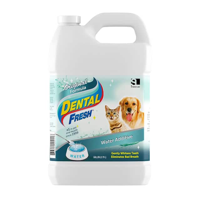 Synergy Labs Dental Fresh for Dogs &  Cats