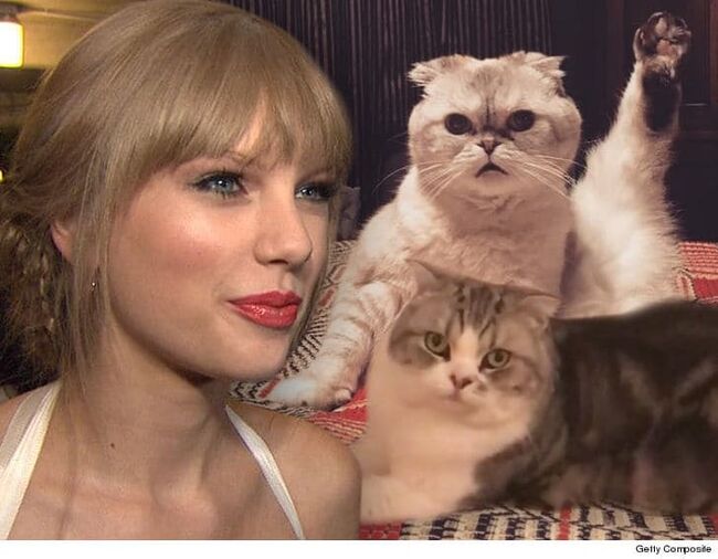 Taylor Swift Has Her Cats