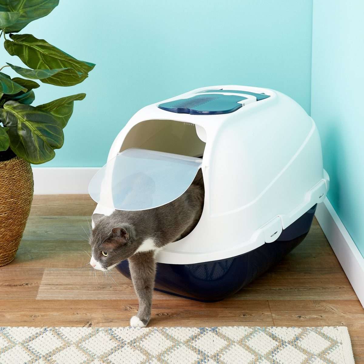 The 5 Best Litter Boxes For Multiple Cats