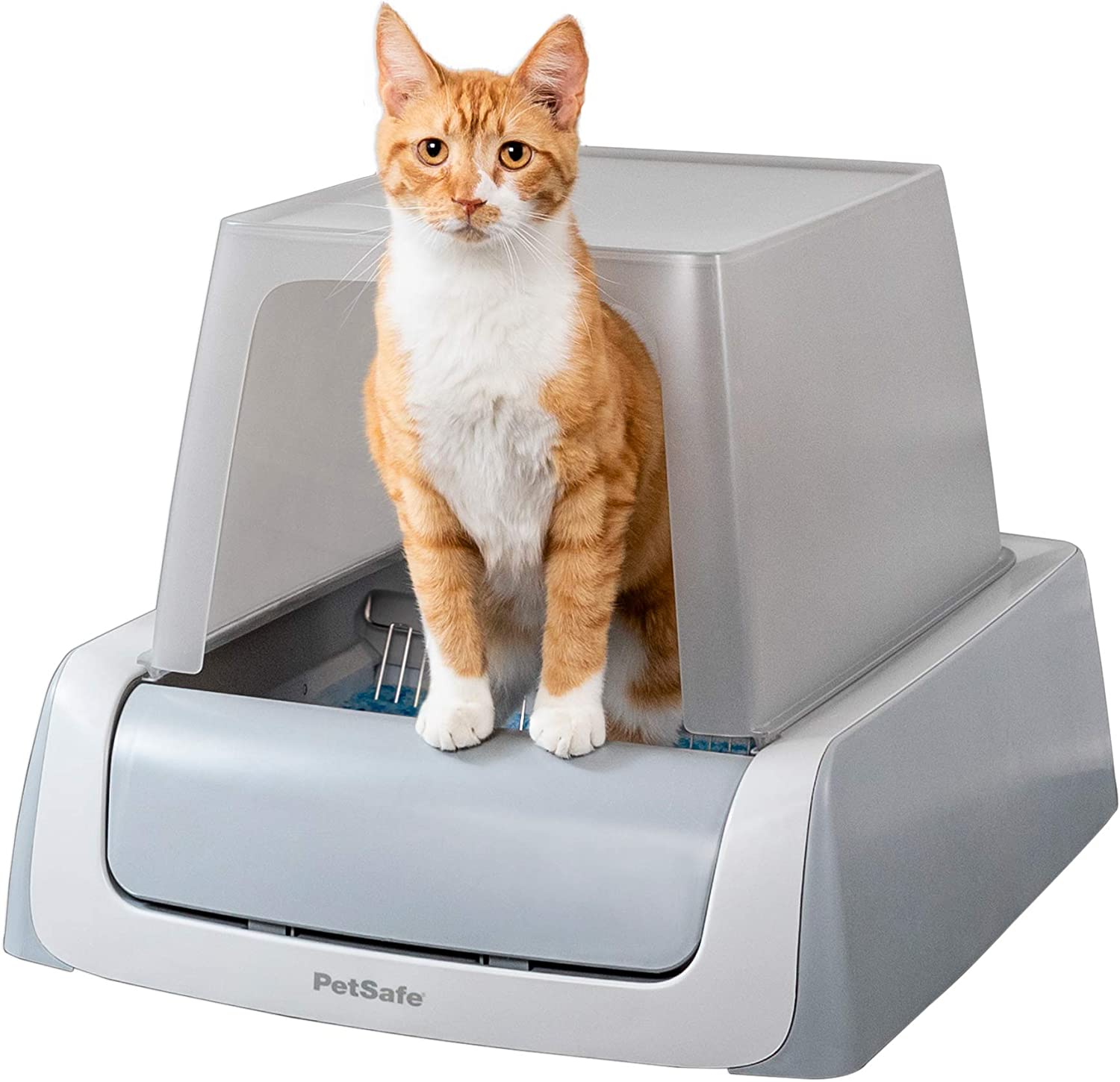Top 10 Best Self Cleaning Litter Box For Large Cats [Updated September ...