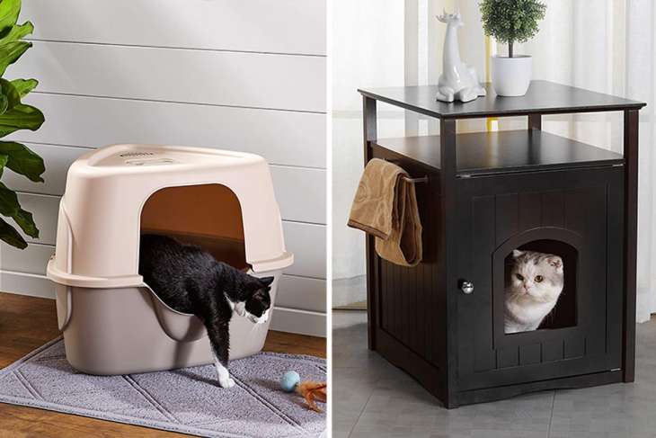 Zaqra: The 8 Best Cat Litter Boxes For Small Spaces