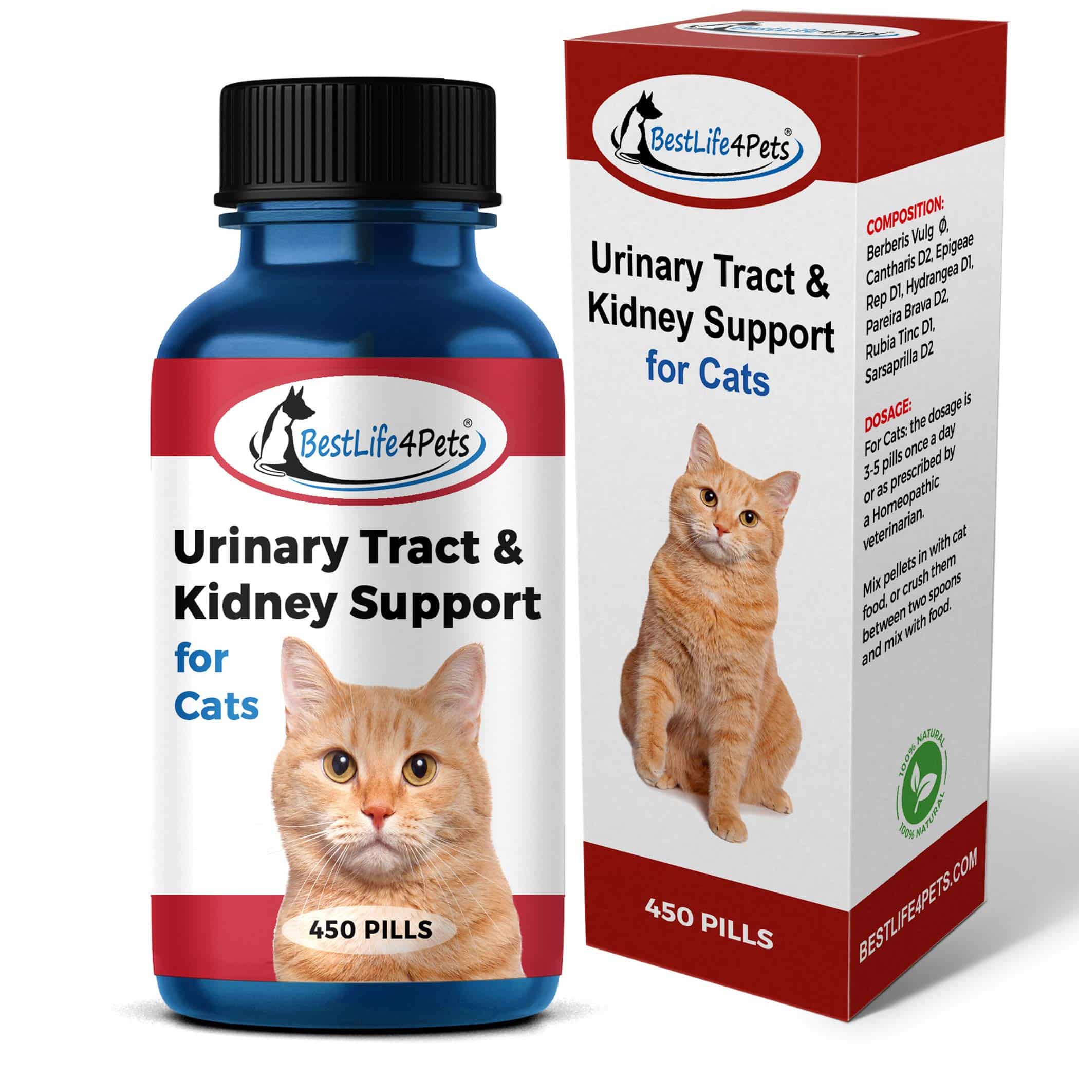 Cat UTI Urinary Tract Infection &  Kidney Support Treatment