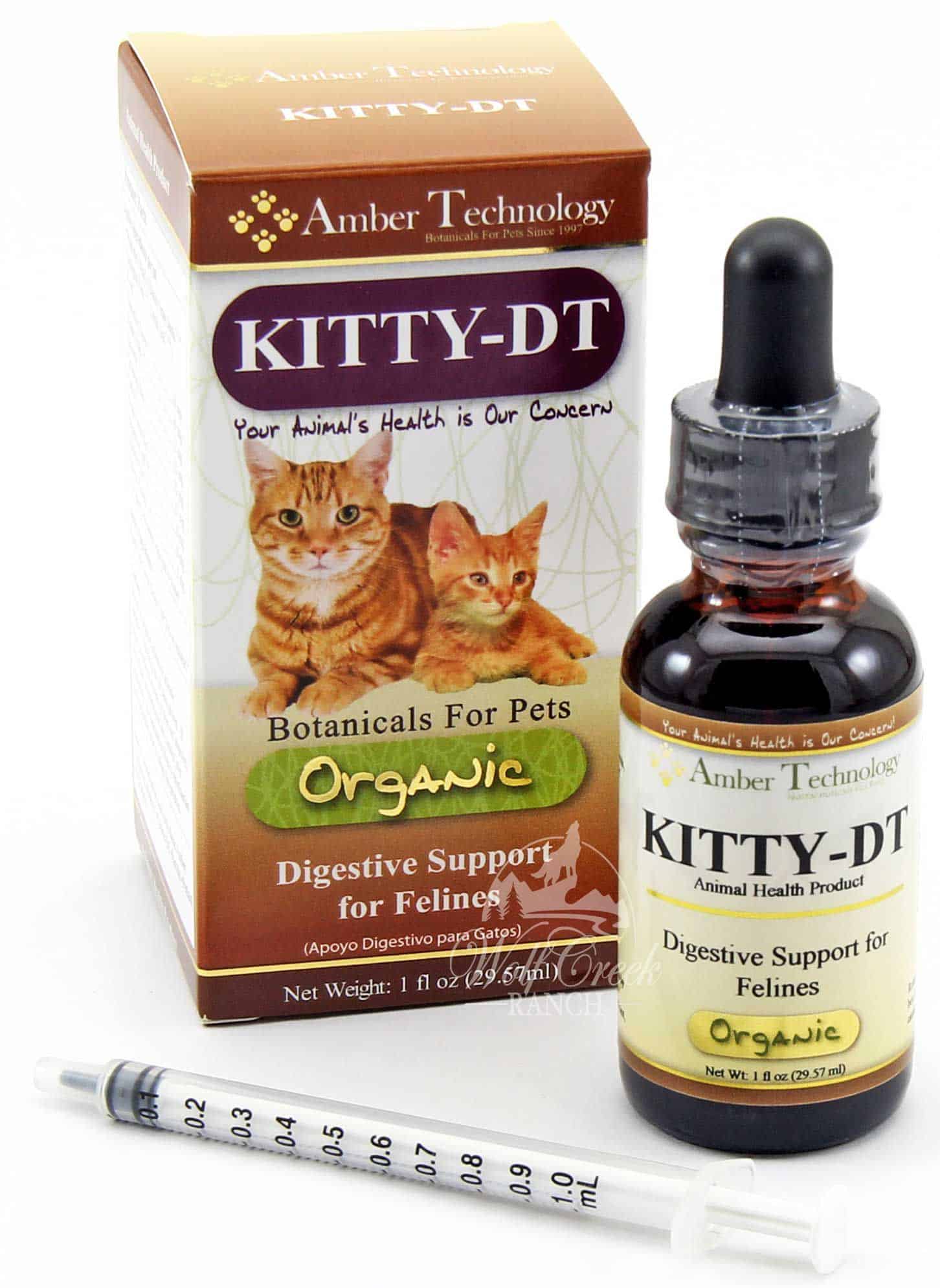 Home Treatment For Coccidia In Cats