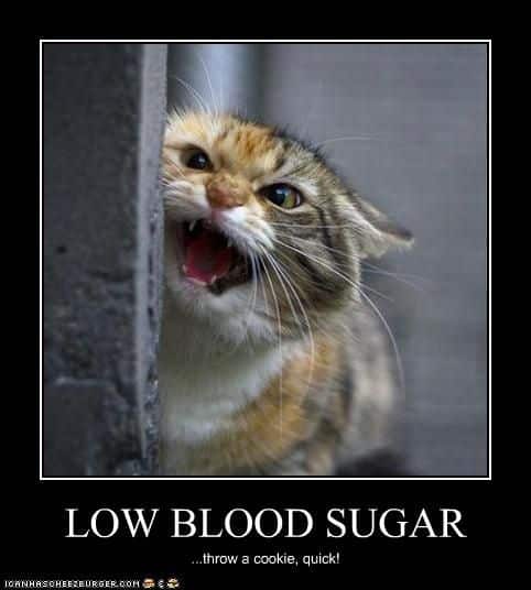 Pin on Diabetes: Too sweet for my own good!