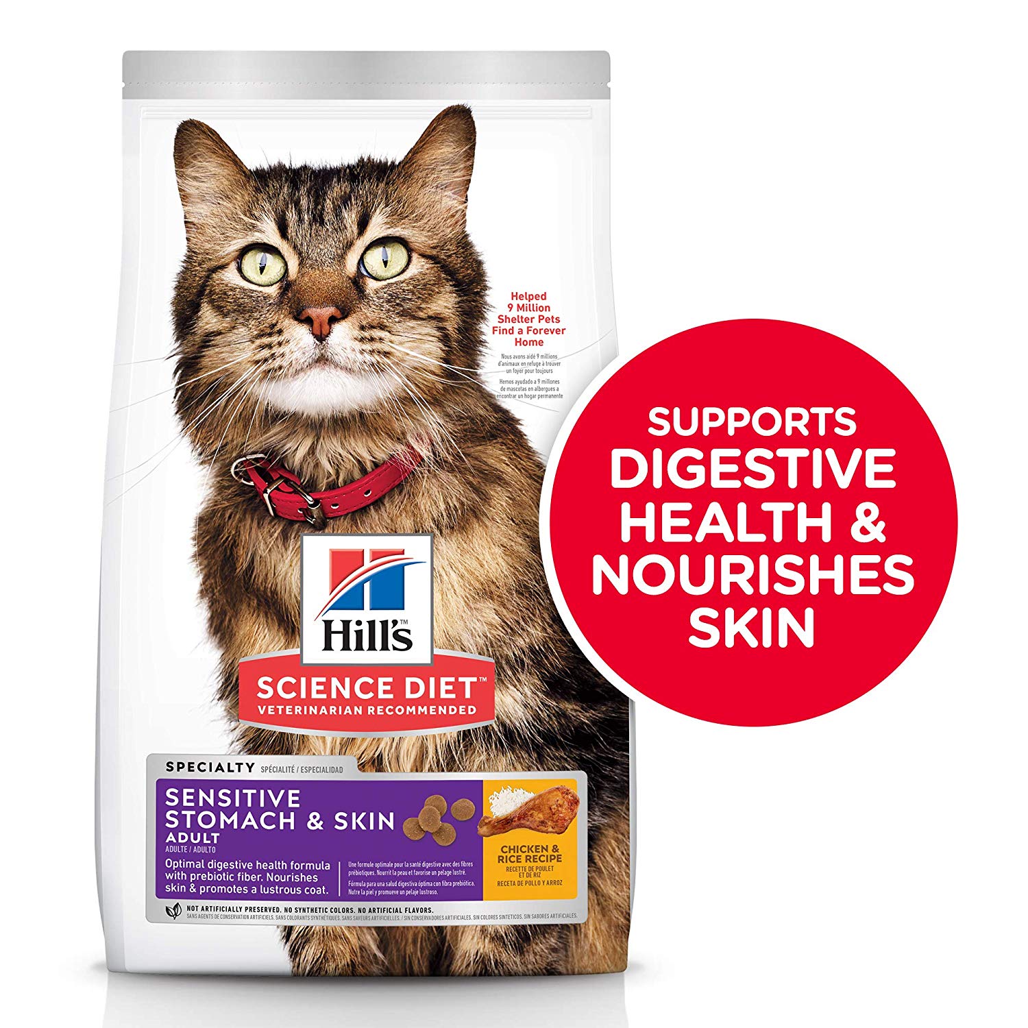 The Best Dry Cat Foods to Treat Diarrhea