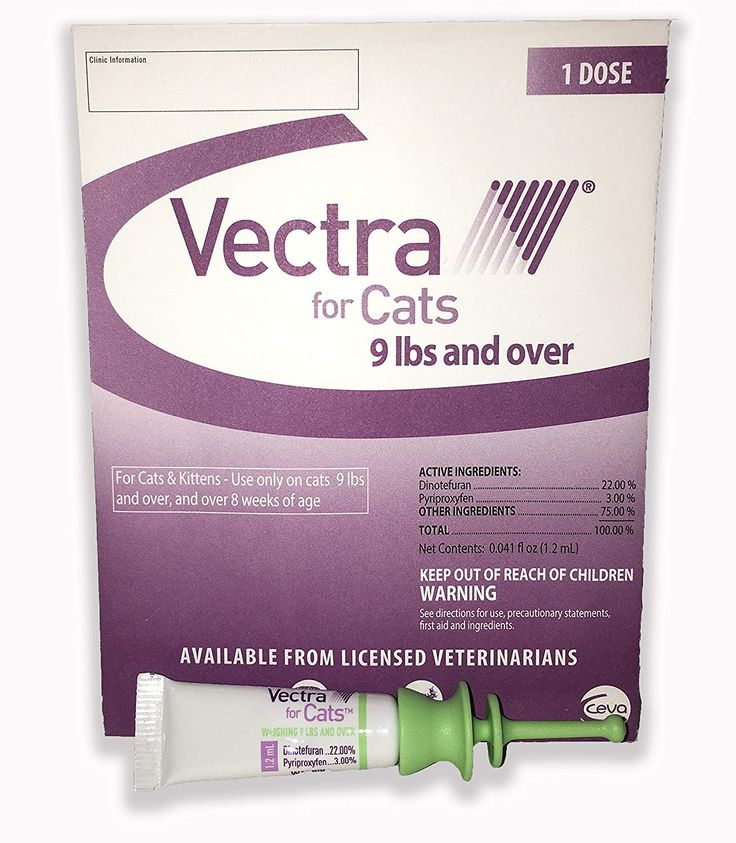 Vectra for Cats and Kittens Over 9 Lbs Single (1) Dose Green USA ...