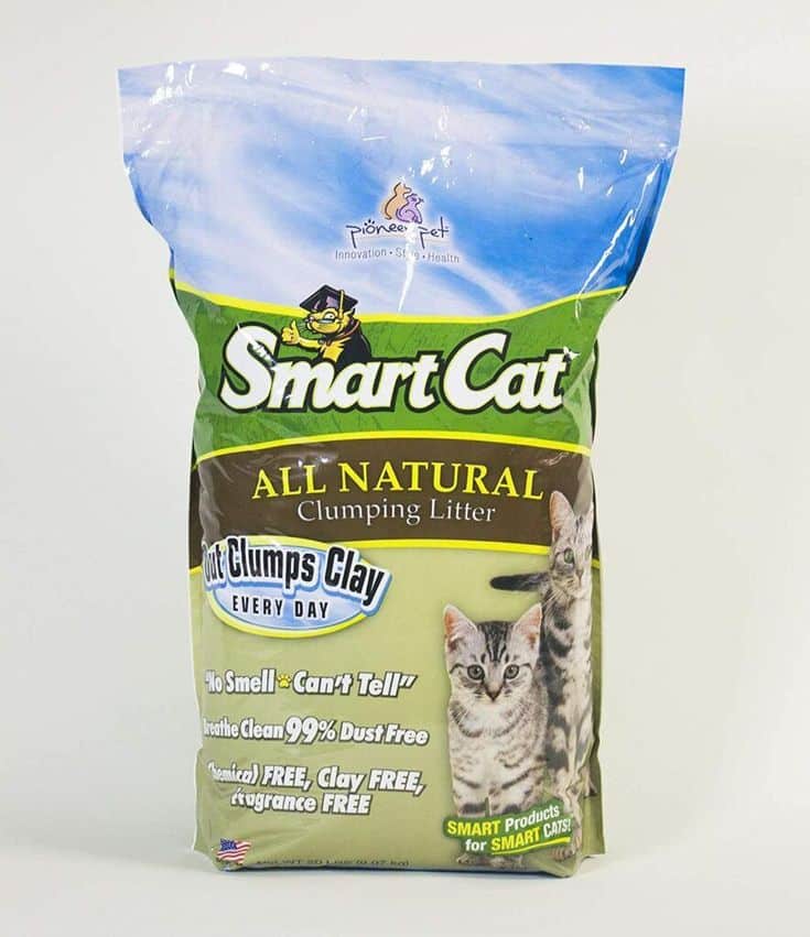 What Is The Best Clumping Cat Litter For Your Cat?