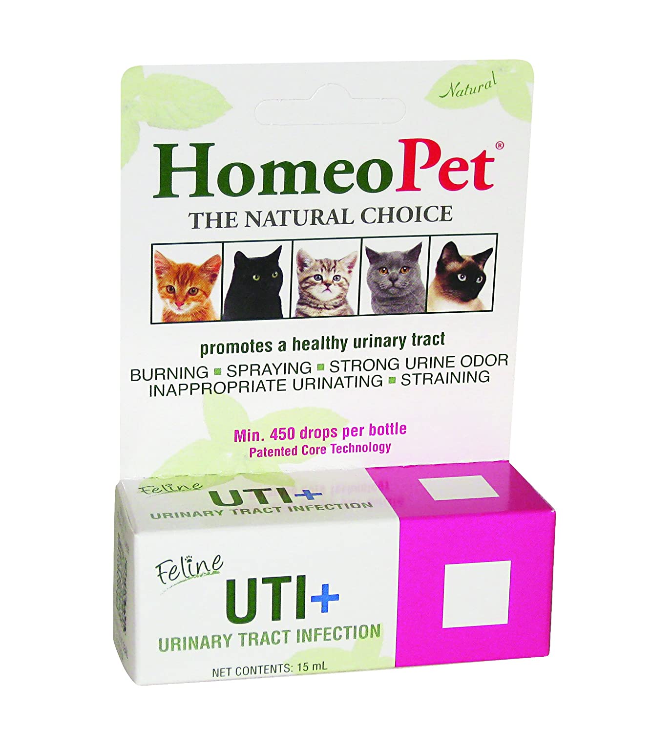 Can I Treat My Cats Uti At Home