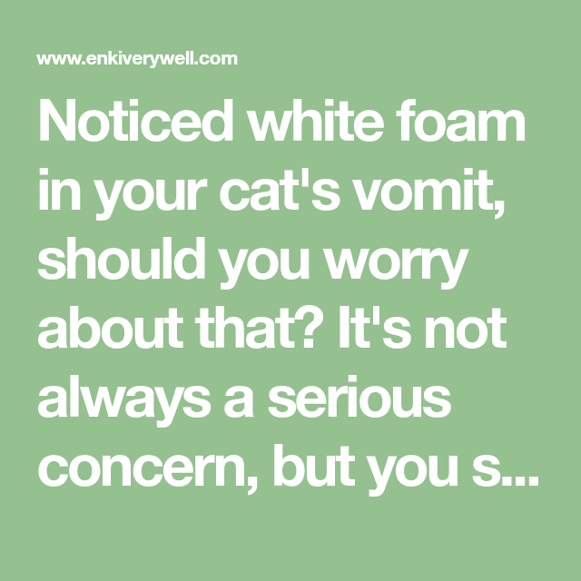 Noticed white foam in your cat
