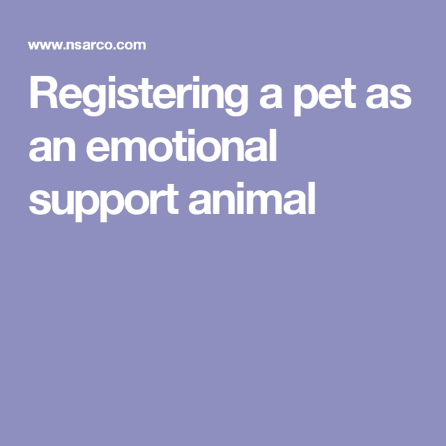 Registering a pet as an emotional support animal