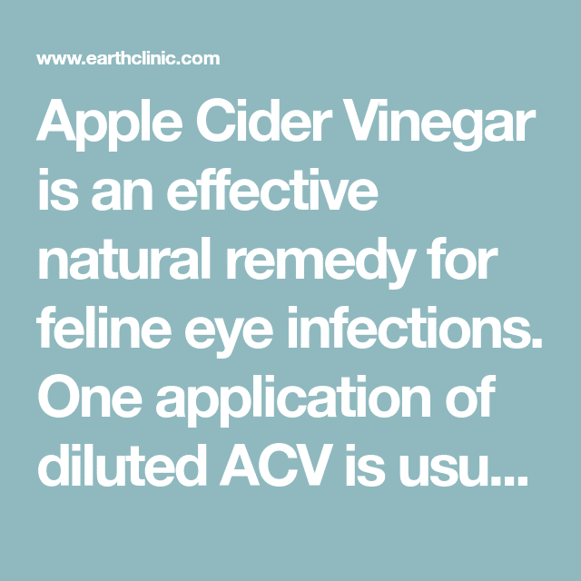 Apple Cider Vinegar Remedy for Eye Infections in Cats