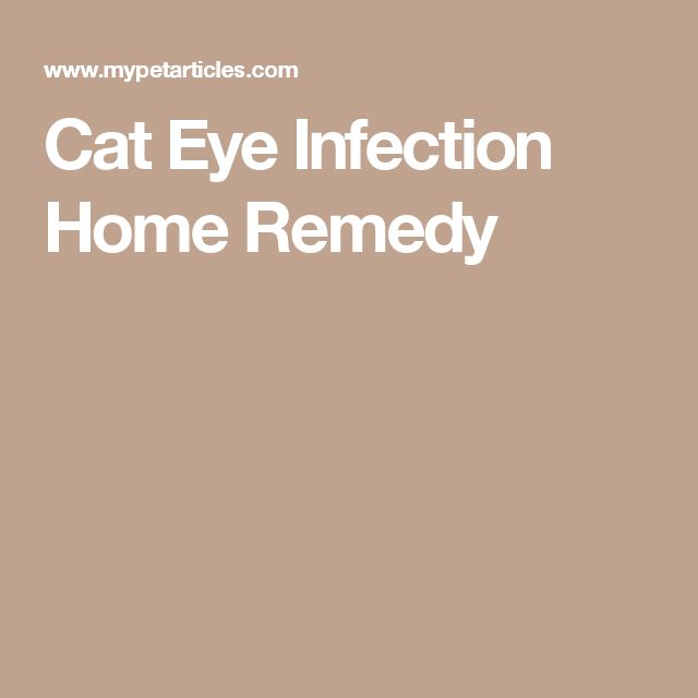 Cat Eye Infection Home Remedy
