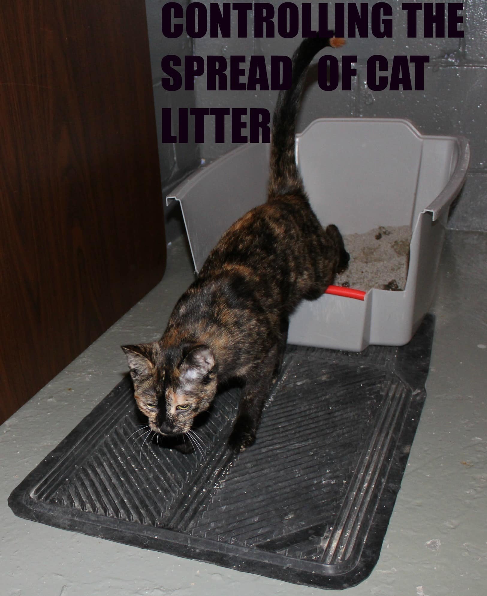 CONTROLLING THE SPREAD OF CAT LITTER